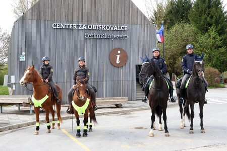 Skupen nadzor konjenikov NRP 06 Foto Ljubo Vukelič